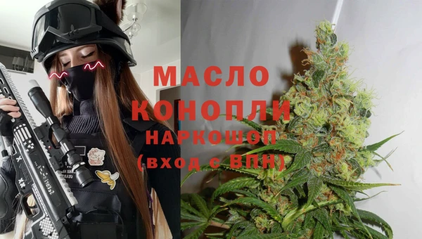 МДПВ Алзамай