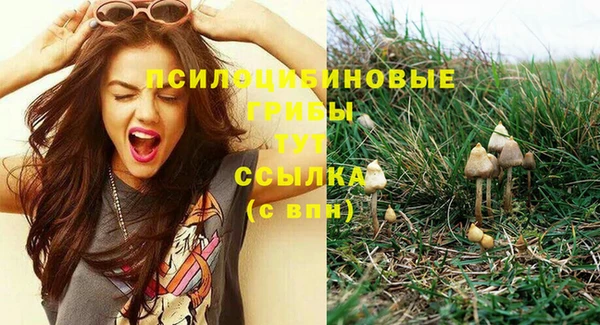 a pvp Абинск