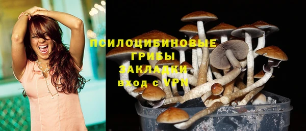a pvp Абинск